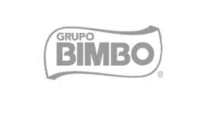 grupo bimbo
